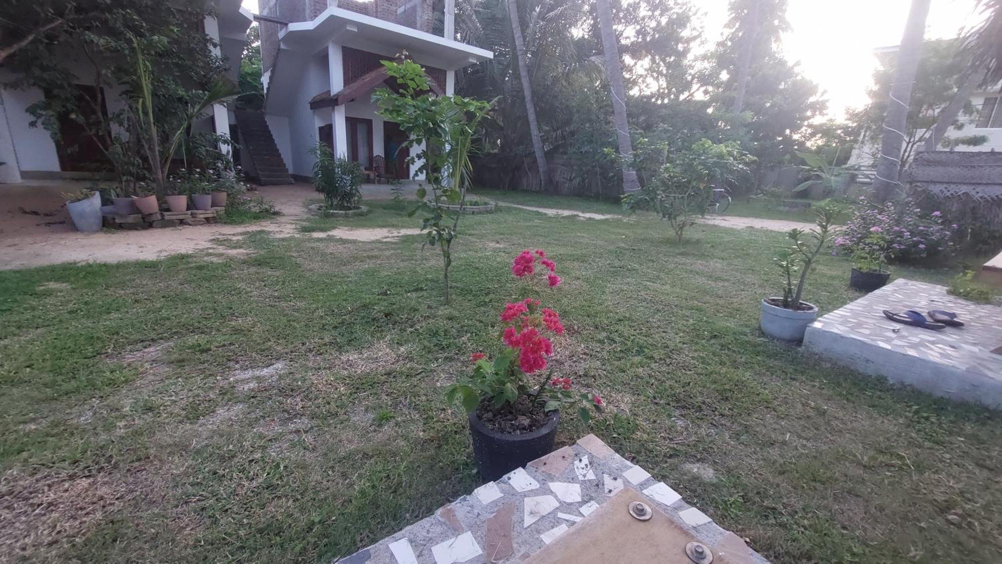 The Dream Inn Guesthouse Passikudah Batticaloa Exterior foto