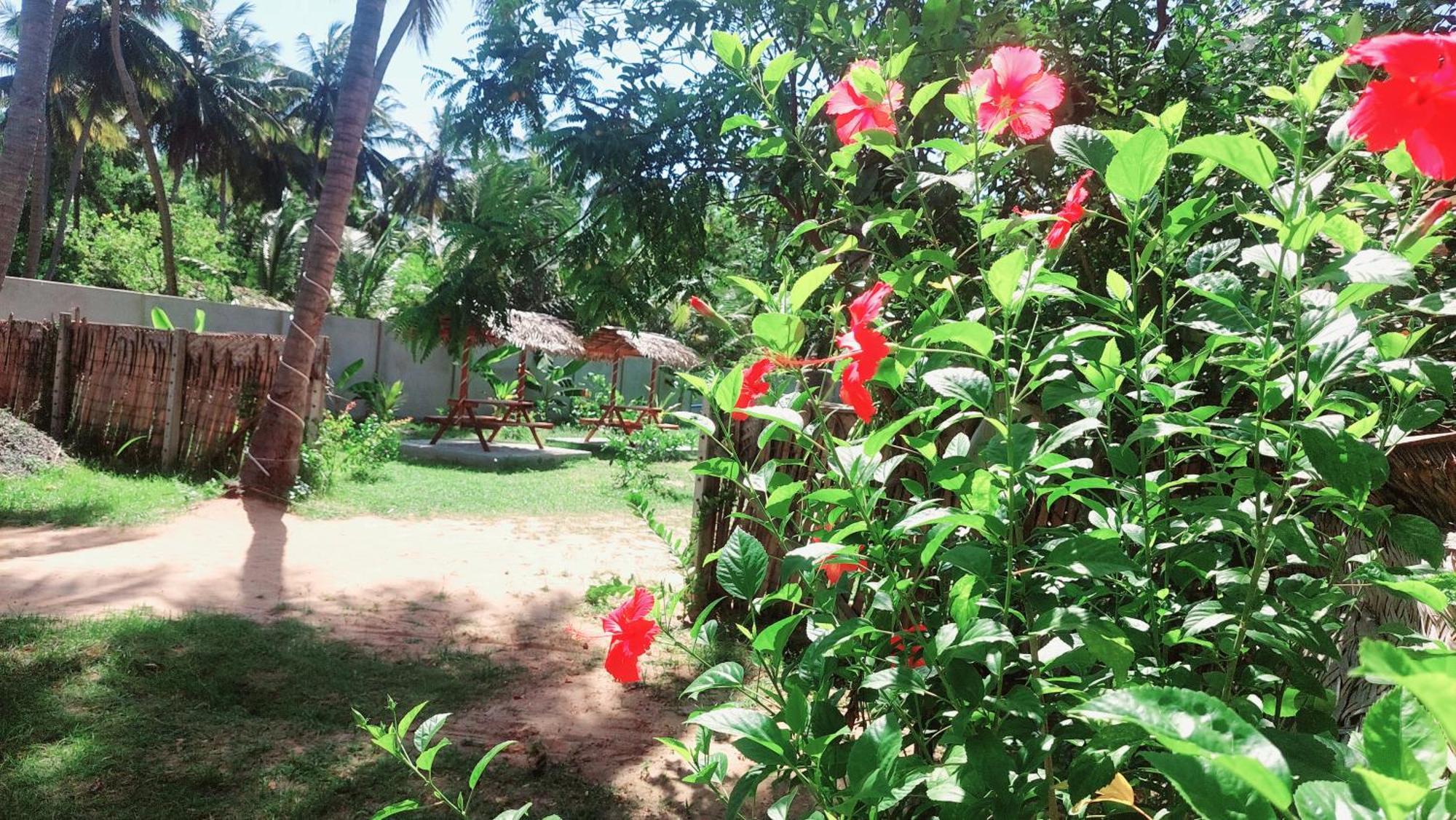 The Dream Inn Guesthouse Passikudah Batticaloa Exterior foto